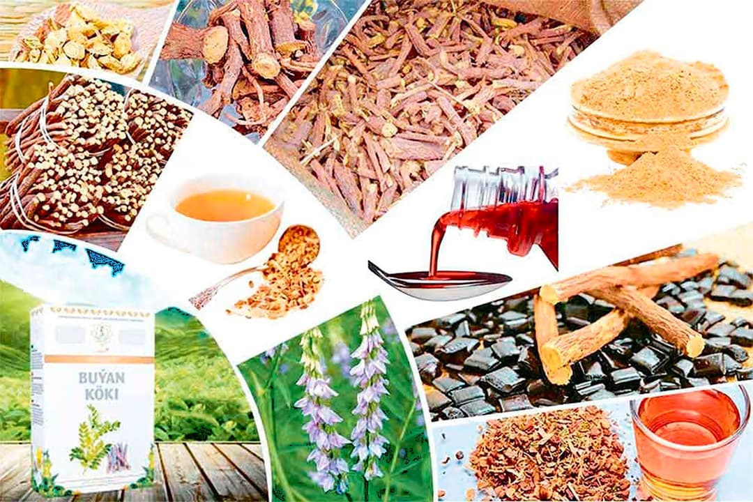 Turkmen licorice root sparked high demand among Hong Kong businessmen