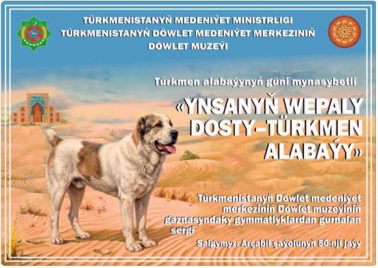 Aşgabatda türkmen alabaýyna bagyşlanan sergi açylar