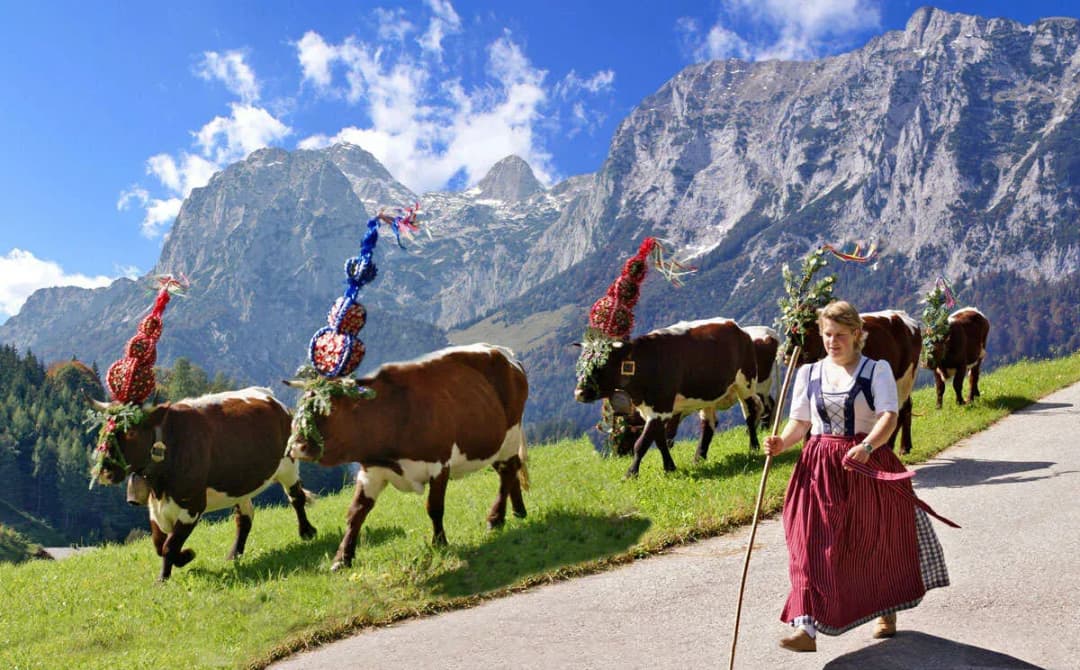 Alp daglarynyň eteginde meşhur güýz festiwaly geçiriler